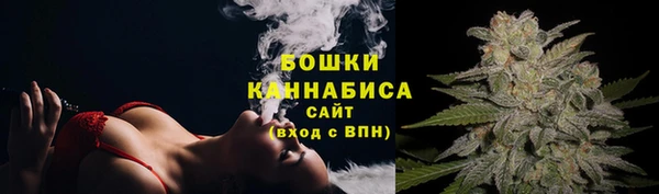 шишки Волосово