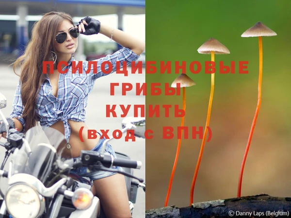 шишки Волосово
