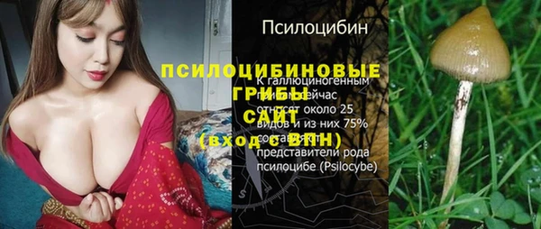 стафф Володарск