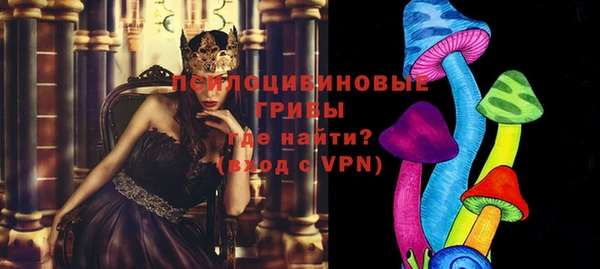 стафф Володарск