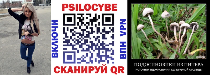 Галлюциногенные грибы мухоморы Лобня